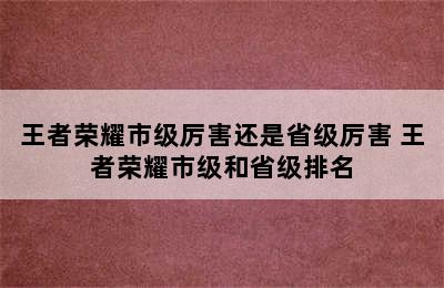 王者荣耀市级厉害还是省级厉害 王者荣耀市级和省级排名